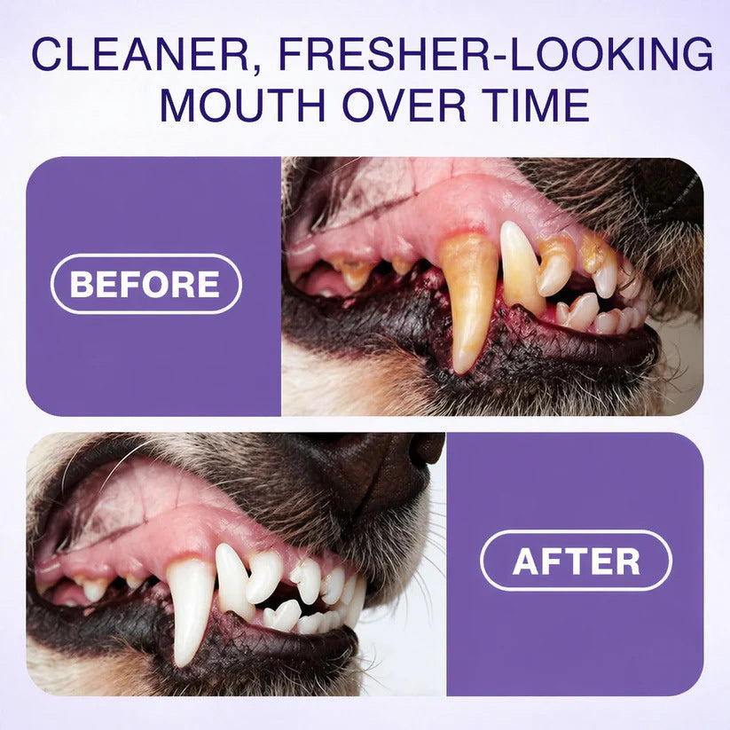 Advanced Pet Oral Spray | Fresh Breath, Plaque Biofilm & Gum Care — No Brushing